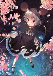 Rule 34 | 1girl, animal ears, black dress, black neckwear, black ribbon, blush, breasts, capelet, cherry blossoms, dowsing rod, dress, expressionless, flower, frills, from above, full body, glowing, grey capelet, grey hair, highres, holding rod, jewelry, lens flare, long sleeves, looking at viewer, mouse ears, nazrin, outdoors, parted lips, pendant, petticoat, pink flower, puffy sleeves, red eyes, ribbon, ripples, short hair, small breasts, solo, standing, touhou, vanilla (miotanntann)