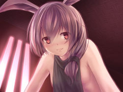 Rule 34 | 1girl, :3, animal ears, backless outfit, benghuai xueyuan, blush, breasts, brown eyes, closed mouth, fox ears, grey hair, grey sweater, hair over shoulder, halterneck, honkai (series), indoors, long hair, looking at viewer, meme attire, naked sweater, ruochongsang, sideboob, small breasts, smile, solo, sweater, theresa apocalypse, theresa apocalypse (sakuno rondo), turtleneck, turtleneck sweater, upper body, virgin killer sweater
