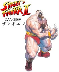 Rule 34 | 1990s (style), beard, bengus, capcom, facial hair, game, hairy, muscular, official art, retro artstyle, scar, street fighter, street fighter ii (series), tall, wrestler, zangief