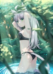 Rule 34 | 1girl, ahoge, akino (1i1i1i1i), animal ears, armpits, arms up, atalanta (fate), atalanta alter (fate), bad id, bad pixiv id, bare arms, bare shoulders, belt collar, bikini, black bikini, black collar, blurry, blurry foreground, blush, cat ears, cat girl, cat tail, closed mouth, collar, commentary request, day, depth of field, fate/grand order, fate (series), forest, green eyes, hair between eyes, long hair, looking away, looking to the side, nature, outdoors, silver hair, solo, standing, swimsuit, tail, very long hair, wading, water