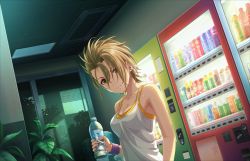 Rule 34 | 10s, 1girl, bottle, breasts, brown hair, camisole, camisole over clothes, can, ceiling, cleavage, closed mouth, collarbone, dot nose, drinking fountain, dutch angle, earrings, eyelashes, eyes visible through hair, green eyes, hair between eyes, hair over eyes, hand up, head tilt, holding, holding bottle, idolmaster, idolmaster cinderella girls, idolmaster cinderella girls starlight stage, indoors, jewelry, kimura natsuki, looking at viewer, medium breasts, nail polish, official art, pink nails, plant, potted plant, pursed lips, quiff, shirt, short hair, solo, standing, stud earrings, sweat, tile ceiling, tiles, vending machine, water bottle, water cooler, white shirt, wristband