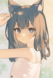 Rule 34 | 1girl, absurdres, animal ear fluff, animal ears, blue archive, blue eyes, bright pupils, casual, closed mouth, commentary request, dress, grey hair, highres, looking at viewer, medium hair, mismatched pupils, nagisa (cxcx5235), revision, shiroko (blue archive), sleeveless, sleeveless dress, solo, upper body, white dress, white pupils