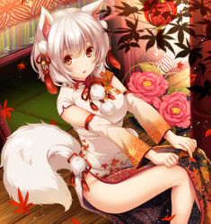Rule 34 | 1girl, alternate costume, animal ears, autumn leaves, barefoot, blush, breasts, china dress, chinese clothes, commentary request, detached sleeves, dress, falling leaves, feet out of frame, flower, hair ribbon, highres, inubashiri momiji, lantern, leaf, leaf print, looking at viewer, maple leaf, medium breasts, monety, multicolored clothes, multicolored dress, on floor, orange eyes, paper lantern, parted lips, pelvic curtain, pink flower, pom pom (clothes), print dress, red ribbon, ribbon, short hair, silver hair, sitting, solo, tail, tassel, touhou, wolf ears, wolf girl, wolf tail, wooden floor