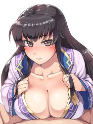 Rule 34 | 10s, 1boy, 1girl, 2018, black hair, boris (noborhys), breasts, brown eyes, cleavage, faceless, faceless male, fire emblem, fire emblem: the blazing blade, highres, karla, large breasts, long hair, looking at viewer, nintendo, paizuri, pov, shiny skin, sidelocks, simple background, white background