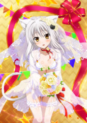 Rule 34 | 1girl, absurdres, animal ear fluff, animal ears, blush, bouquet, bra, breasts, bridal lingerie, bridal veil, bride, cat ears, cat girl, cat hair ornament, cat tail, female focus, fishnet thighhighs, fishnets, flower, hair flower, hair ornament, high school dxd, highres, holding, holding bouquet, lingerie, looking at viewer, official art, open mouth, panties, short hair, silver hair, small breasts, smile, solo, standing, tail, thighhighs, toujou koneko, underwear, veil, white bra, white panties, white thighhighs, yellow eyes