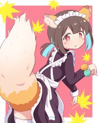Rule 34 | 1girl, animal ears, blue hair, blunt bangs, blush stickers, brown hair, commentary, dot nose, fox ears, fox girl, fox tail, frills, highres, hozuki momiji, inconvenient tail, kemonomimi mode, leaning forward, long sleeves, looking at viewer, maid, maid headdress, multicolored hair, onii-chan wa oshimai!, open mouth, polka dot, polka dot background, red background, red eyes, short hair, short ponytail, solo, tail, thighhighs, triangle mouth, two-tone hair, white thighhighs, yuu kurema
