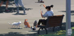 Rule 34 | 1boy, 3others, black hair, black leggings, black shorts, cat, cat teaser, day, from behind, holding, holding cat teaser, holding phone, kan liu (666k), leggings, multiple others, on bench, original, outdoors, phone, pole, ponytail, seal impression, shirt, shoes, short hair, short sleeves, shorts, sidewalk, signature, sitting, sneakers, solo focus, white shirt