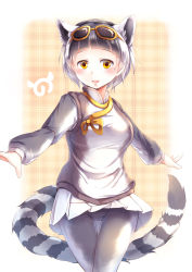 Rule 34 | 10s, 1girl, :d, absurdres, blunt bangs, blush, commentary, cowboy shot, extra ears, eyewear on head, grey hair, grey pantyhose, highres, japari symbol, kanzakietc, kemono friends, lemur ears, lemur tail, long sleeves, looking at viewer, multicolored hair, open mouth, orange eyes, outstretched arms, pantyhose, pleated skirt, ring-tailed lemur (kemono friends), short hair, skirt, smile, solo, spread arms, striped tail, sunglasses, tail, thigh gap, white skirt