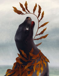 animal animal_focus black_fur cropped dappermouth floating fog grey_background grey_sky head_back highres kelp looking_up no_pupils ocean open_mouth original plant sea_lion sharp_teeth shore sky solid_eyes teeth whiskers white_eyes