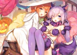 Rule 34 | 2girls, :d, animal ears, boots, breasts, brown footwear, brown legwear, cleavage, coat, eyes visible through hair, fang, fate/grand order, fate (series), frilled pillow, frills, fujimaru ritsuka (female), fujimaru ritsuka (female) (wizard &amp; priest), fur trim, grey skirt, hair between eyes, hair over one eye, heart, heart-shaped pillow, high heel boots, high heels, hood, hooded coat, looking at viewer, mash kyrielight, mash kyrielight (dangerous beast), medium breasts, miniskirt, multiple girls, official alternate costume, open mouth, orange hair, pantyhose, pillow, pink hair, pleated skirt, pumpkin, purple eyes, purple legwear, shiny clothes, short hair, skirt, smile, tail, thigh boots, thighhighs, toosaka asagi, underboob, white coat, wolf ears, wolf tail, yellow eyes