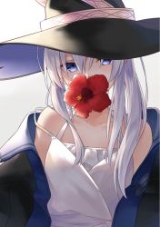 Rule 34 | 1girl, azuuru, black coat, black hat, blue eyes, coat, collarbone, dress, elaina (majo no tabitabi), female focus, flower, hair between eyes, hair over shoulder, hat, head tilt, hibiscus, highres, long hair, looking at viewer, majo no tabitabi, off shoulder, official art, open clothes, open coat, red flower, second-party source, silver hair, solo, upper body, white background, white dress, witch hat