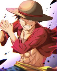 Rule 34 | 1boy, black hair, commentary, facial scar, hat, highres, long sleeves, looking at viewer, male focus, monkey d. luffy, one piece, open clothes, red shirt, scar, scar on cheek, scar on chest, scar on face, shirt, short hair, smile, solo, straw hat, suzu (suzuran piece), teeth