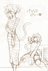Rule 34 | 1girl, alternate costume, androgynous, animal ears, artist request, dress, holding own arm, hunter x hunter, long dress, long sleeves, monochrome, multiple persona, neferpitou, non-web source, ponytail, short hair, sketch, source request, straddling, tail, translation request, white background