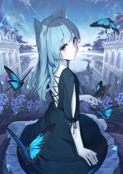 Rule 34 | 1girl, absurdres, animal ears, backless dress, backless outfit, black dress, blue hair, blush, bug, butterfly, dress, expressionless, flower, fox ears, from behind, highres, horizon, insect, light blue hair, long hair, looking back, mikisai, original, outdoors, purple eyes, sitting, sky, solo, star (sky), starry sky
