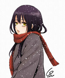 Rule 34 | 1girl, black hair, coat, commentary request, eyelashes, hair between eyes, highres, izumi (toubun kata), long hair, looking at viewer, mieruko-chan, new year, parted lips, scarf, sidelocks, signature, snowing, solo, upper body, winter, winter clothes, winter coat, yellow eyes, yotsuya miko