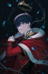 Rule 34 | 1boy, absurdres, black hair, blue eyes, blue lock, blue petals, cape, closed mouth, commentary, crown, falling petals, fur-trimmed cape, fur trim, hair between eyes, highres, isagi yoichi, layered sleeves, long sleeves, looking at viewer, male focus, petals, plant, red cape, red shirt, royal robe, shirt, short hair, short over long sleeves, short sleeves, soccer uniform, solo, sportswear, symbol-only commentary, thorns, umiharuayato, vines