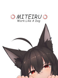 Rule 34 | 1girl, absurdres, ahoge, animal ear fluff, animal ears, black hair, braid, commentary request, earrings, english text, fox ears, fox girl, hair between eyes, highres, hololive, jewelry, kurokami fubuki, looking at viewer, micon, red eyes, sidelocks, simple background, single braid, solo, virtual youtuber, white background