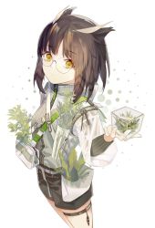 Rule 34 | 1girl, alternate costume, arknights, bag, belt, black shorts, breasts, brown hair, chinese commentary, closed mouth, cowboy shot, expressionless, eyebrows hidden by hair, feather hair, feathers, from above, glasses, grey shirt, handbag, highres, holding, holding plant, jacket, long sleeves, looking at viewer, medium breasts, medium hair, orange eyes, plant, qianluo, ribbed shirt, round eyewear, see-through, see-through jacket, shirt, shirt tucked in, short shorts, shorts, silence (arknights), simple background, solo, standing, strap, thigh strap, white background, white belt, zipper, zipper pull tab