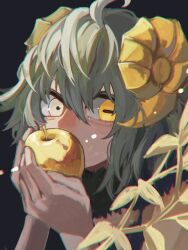 Rule 34 | 1boy, ahoge, apple, covered mouth, fate/grand order, fate (series), food, fruit, goat horns, golden apple, green hair, haruakira, highres, holding, holding food, holding fruit, horns, leaf, light particles, male focus, mismatched pupils, paris (fate), rectangular pupils, short hair, solo, trap, upper body, yellow eyes
