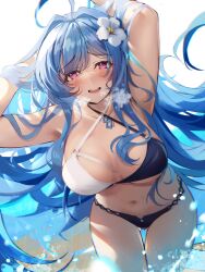 Rule 34 | 1girl, ahoge, alternate breast size, azur lane, bikini, blue hair, breasts, cowboy shot, criss-cross halter, flower, hair flower, hair ornament, halterneck, heaven&#039;s melody, helena (azur lane), helena (shimmering triangle wave) (azur lane), highres, large breasts, long hair, looking at viewer, mixed-language commentary, official alternate costume, purple eyes, smile, swimsuit, two-tone bikini