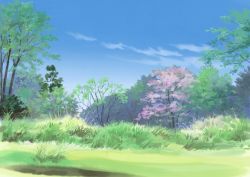 Rule 34 | blue sky, cherry blossoms, cloud, commentary request, day, grass, highres, hirota (masasiv3), nature, no humans, outdoors, scenery, sketch, sky, tree