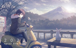 Rule 34 | 1girl, bench, black pants, blue sky, blush, brown hair, can, closed mouth, cloud, cloudy sky, coat, commentary, day, fence, green coat, highres, holding, holding can, koh rd, lake, light rays, motor vehicle, motorcycle, mountainous horizon, original, outdoors, pants, rabbit, red eyes, scenery, short hair, sidelocks, sitting, sky, smile, solo, sunlight, tree, vending machine, wooden fence