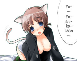 Rule 34 | 00s, animal ears, blue eyes, breasts, brown hair, cat ears, cat tail, lynette bishop, nipples, panties, strike witches, tail, tears, underwear, uniform, world witches series