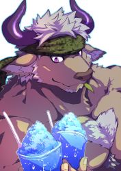 Rule 34 | 1boy, animal ears, bara, blue outline, body fur, brown fur, camouflage, camouflage headwear, chest hair, commentary request, cow ears, cow horns, facial hair, food, furry, furry male, goatee, headband, highres, horns, leaf, looking at object, male focus, minotaur, mouth hold, muscular, muscular male, outline, purple eyes, purple horns, sakuhuu, shaved ice, shennong (housamo), short hair, solo, stalk in mouth, tokyo houkago summoners, upper body, white background, white hair