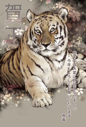Rule 34 | :3, animal focus, chinese zodiac, closed mouth, floral background, grey background, japanese text, lying, muted color, nengajou, new year, no humans, on stomach, original, tiger, touka (akira nogi), translation request, year of the tiger, yellow eyes