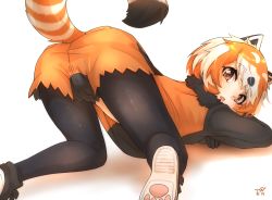 Rule 34 | 1girl, animal ears, black gloves, black pantyhose, brown eyes, commentary, from behind, fur collar, gloves, highres, kemono friends, kemono friends 2, pantyhose under shorts, lesser panda (kemono friends), long sleeves, looking at viewer, looking back, multicolored hair, open mouth, orange hair, pantyhose, red panda ears, red panda tail, shoe soles, short hair, short shorts, shorts, signature, simple background, solo, striped tail, tail, thin (suzuneya), top-down bottom-up, white background, white hair