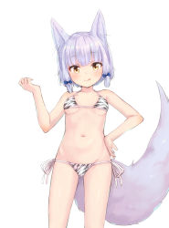 Rule 34 | 1girl, animal ears, bikini, blush, bow, breasts, breasts apart, chinese zodiac, collarbone, fox ears, fox girl, fox tail, hair bow, highres, kuramoto takato, lico (machikado mazoku), looking at viewer, machikado mazoku, navel, riko (machikado mazoku), shiny skin, side-tie bikini bottom, silver hair, simple background, small breasts, smile, solo, standing, swimsuit, tail, tongue, tongue out, white background, year of the tiger, yellow eyes