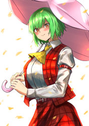 Rule 34 | 1girl, absurdres, arm belt, ascot, belt, blush, breasts, closed mouth, cowboy shot, falling leaves, green hair, highres, holding, holding umbrella, juliet sleeves, kazami yuuka, large breasts, leaf, light smile, long sleeves, looking at viewer, open clothes, open vest, plaid, plaid skirt, plaid vest, puffy sleeves, red eyes, red vest, sen (daydream 53), shirt, short hair, simple background, skirt, skirt set, solo, swept bangs, touhou, umbrella, vest, white background, white shirt, wing collar, yellow ascot