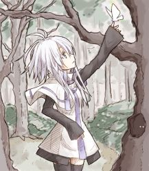 Rule 34 | 1girl, ahoge, athray, bug, butterfly, forest, bug, long hair, long sleeves, nature, original, purple eyes, r-sylph, thighhighs, uniform, white hair