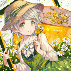 Rule 34 | 1girl, belt, blush, chamomile, flower, green eyes, grey hair, holding, holding flower, long sleeves, looking at viewer, original, parted lips, roo, short hair, smile, solo