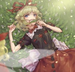 Rule 34 | 1girl, black shirt, blonde hair, blue eyes, blurry, bow, bowtie, fairy wings, flower, hair bow, hair ribbon, lily of the valley, looking at viewer, lying, medicine melancholy, meimaru inuchiyo, on back, puffy short sleeves, puffy sleeves, red bow, red bowtie, red ribbon, red skirt, ribbon, ribbon-trimmed clothes, ribbon-trimmed skirt, ribbon trim, shirt, short hair, short sleeves, skirt, solo, su-san, touhou, transparent wings, wavy hair, wings