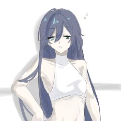 Rule 34 | 1girl, bare shoulders, blue eyes, blue hair, breasts, closed mouth, fu hua, grey hair, hair between eyes, highres, honkai (series), honkai impact 3rd, long hair, looking at viewer, navel, official alternate costume, shadow, sho 2nini, simple background, sleeveless, small breasts, solo, sports bra, sportswear, stomach, upper body, white background, white sports bra