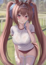 Rule 34 | 1girl, animal ears, black bra, black panties, blush, bra, bra visible through clothes, breasts, brown hair, cleavage, collarbone, cowboy shot, daiwa scarlet (umamusume), hair intakes, hand up, handkerchief, highres, holding, horse ears, horse girl, horse tail, jewelry, lingerie, long hair, looking at viewer, marinesnow, medium breasts, multicolored hair, open mouth, panties, see-through, shirt, short sleeves, sidelocks, skindentation, solo, standing, sweat, tail, thighhighs, thighs, twintails, two-tone hair, umamusume, underwear, wet, wet clothes, wet shirt, white shirt, white thighhighs