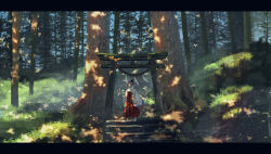 Rule 34 | 1girl, absurdres, commentary request, dappled sunlight, day, forest, grass, hakama, hakama skirt, highres, japanese clothes, letterboxed, miko, moss, nature, original, outdoors, red skirt, rope, scenery, shide, shimekake, shimenawa, skirt, solo, stairs, standing, sunlight, torii, tree, wide sleeves