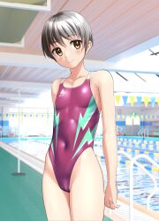 Rule 34 | 1girl, absurdres, black hair, breasts, brown eyes, commentary request, competition swimsuit, covered navel, highleg, highleg swimsuit, highres, indoors, lane line, lightning bolt print, logo, multicolored clothes, multicolored swimsuit, one-piece swimsuit, original, pool, poolside, purple one-piece swimsuit, short hair, small breasts, solo, standing, string of flags, swimsuit, takafumi, tomboy, variant set