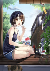 Rule 34 | 1girl, bare shoulders, blush, brown eyes, brown hair, calico, camisole, cat, drinking straw, eating, fish, fishbowl, food, from side, holding, holding drinking straw, layered clothes, looking at viewer, open mouth, original, shaved ice, short hair, short shorts, shorts, sitting, solo, spoon, unowen, wind chime