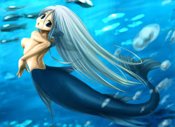 Rule 34 | 1girl, animal, blue eyes, blue hair, blue theme, breasts, bubble, completely nude, fins, fish, from behind, gills, head fins, hekikai no aion, konowa, long hair, looking at viewer, looking back, matching hair/eyes, mermaid, monster girl, nude, scar, scar on neck, sheila (hekikai no aion), solo, tail, underwater, very long hair, webbed hands
