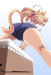 Rule 34 | 1girl, ahoge, animal ears, ass, blonde hair, blue eyes, blush, buruma, cat ears, cat tail, from behind, kneepits, long hair, open mouth, original, pudding (tonpuu), solo, tail, tonpuu, twintails, vaulting horse