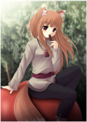 Rule 34 | 00s, animal ears, brown hair, eating, holo, long hair, red eyes, solo, spice and wolf, tail, wolf ears, wolf tail, yokuran