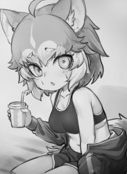Rule 34 | 1girl, ahoge, animal ears, breasts, cup, dog (mixed breed) (kemono friends), dog ears, dog tail, drinking straw, greyscale, holding, holding cup, jacket, kemono friends, looking at viewer, medium breasts, monochrome, multicolored hair, navel, nyifu, parted lips, short hair, solo, sports bra, sweat, tail, track jacket