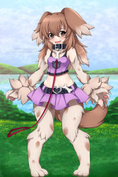 Rule 34 | 1girl, animal collar, animal ears, animal hands, bare shoulders, belt, blush, body fur, breasts, brown eyes, brown hair, cloud, collar, commentary, commission, day, digitigrade, dog ears, dog girl, dog paws, dog tail, english commentary, fang, full body, grass, hair between eyes, happy, heart, horizon, kobold (monster girl encyclopedia), lake, landscape, lindaroze, long hair, looking at viewer, midriff, monster girl, monster girl encyclopedia, monster girl encyclopedia ii, navel, open mouth, pet, purple skirt, purple tank top, skirt, sky, small breasts, smile, solo, standing, tail, tank top