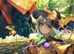 Rule 34 | 1girl, ametama (runarunaruta5656), black hat, bow, branch, breasts, buttons, dappled sunlight, diamond button, food, frilled shirt collar, frilled sleeves, frills, fruit, fruit hat ornament, grape hat ornament, grapes, green eyes, green skirt, grey hair, hat, hat bow, hat ribbon, heart, heart of string, highres, komeiji koishi, long sleeves, looking at viewer, outstretched arms, ribbon, shirt, short hair, skirt, small breasts, solo, standing, string, sunlight, third eye, touhou, tree, upper body, wide sleeves, yellow bow, yellow ribbon, yellow shirt