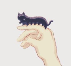 Rule 34 | 1other, animal focus, animal on finger, black cat, black fur, cat, caterpillar, extra legs, grey background, highres, kezuru, original, pun, simple background