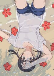 Rule 34 | 1girl, absurdres, black hair, blue shorts, brown eyes, collarbone, day, flower, from above, hand on own head, hibiscus, highres, looking at viewer, lying, mashiro ka, on back, original, outdoors, red flower, shade, shadow, shirt, shorts, solo, t-shirt, twintails, upper body, upside-down, white shirt