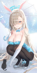 Rule 34 | 1girl, asuna (blue archive), bare shoulders, blue archive, blue eyes, breasts, cat, cleavage, haruri, highres, large breasts, light brown hair, long hair, looking at viewer, mole, mole on breast, parasol, solo, umbrella