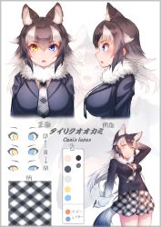 Rule 34 | 1girl, akuma (st.takuma), animal ears, blue eyes, blue jacket, character sheet, color guide, commentary request, cowboy shot, extra ears, fangs, fur collar, gloves, grey hair, grey wolf (kemono friends), heterochromia, highres, jacket, kemono friends, long sleeves, multicolored hair, multiple views, necktie, open mouth, plaid, plaid neckwear, plaid skirt, pleated skirt, short hair, skirt, tail, translation request, upper body, white gloves, white hair, wolf ears, wolf girl, wolf tail, yellow eyes